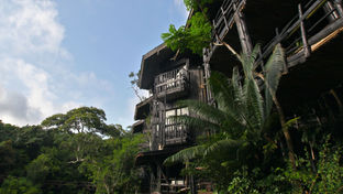 Shimba  Lodge
