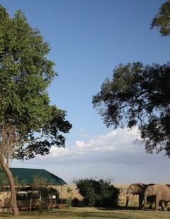Governors Camp