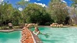 Chobe Chilwero Lodge Pool