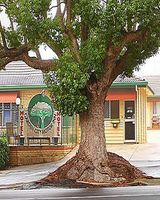 Garden City Motor Inn
