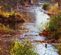 Creekside Inn at Sedona Pool