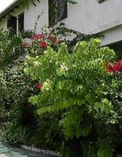 Kings Well Resort