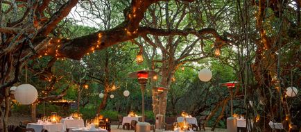 Grootbos Private Nature Reserve Restaurant