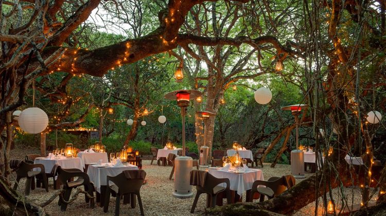 Grootbos Private Nature Reserve Restaurant