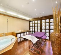 Hotel Zlata Hvezda Trebon Spa