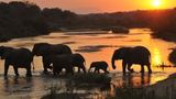 Inyati Game Lodge Other