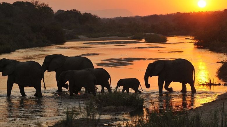 <b>Inyati Game Lodge Other</b>