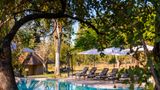 Inyati Game Lodge Pool
