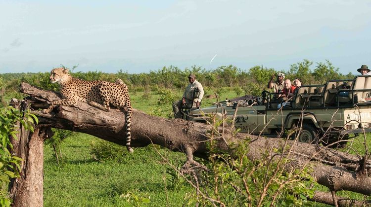 Inyati Game Lodge Recreation