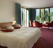 Hotel Saratz Room