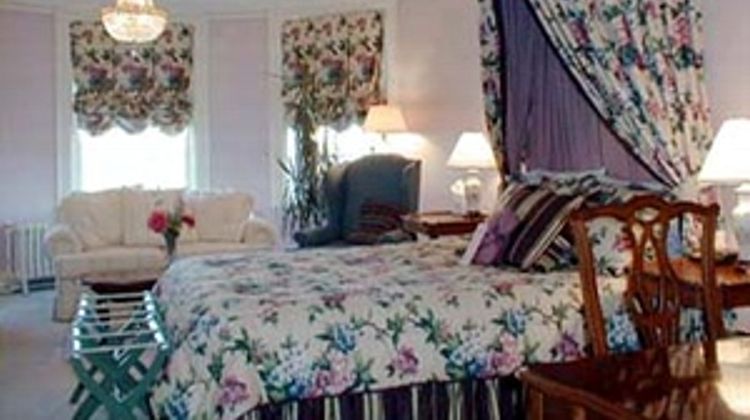 Blind Tiger Guest House Room