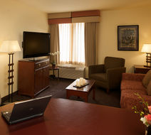 Larkspur Landing Sacramento Hotel Suite