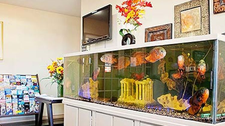 Express Inn Tomball Lobby