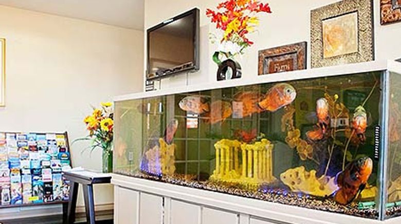 <b>Express Inn Tomball Lobby</b>