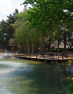 Birchwood Hotel & OR Tambo Conf Ctr