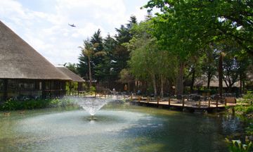 Birchwood Hotel & OR Tambo Conf Ctr