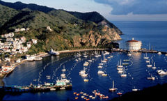Snug Harbor Inn