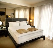 Cartoon Hotel Room