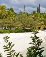 Le Domaine Oro