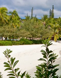 Le Domaine Oro