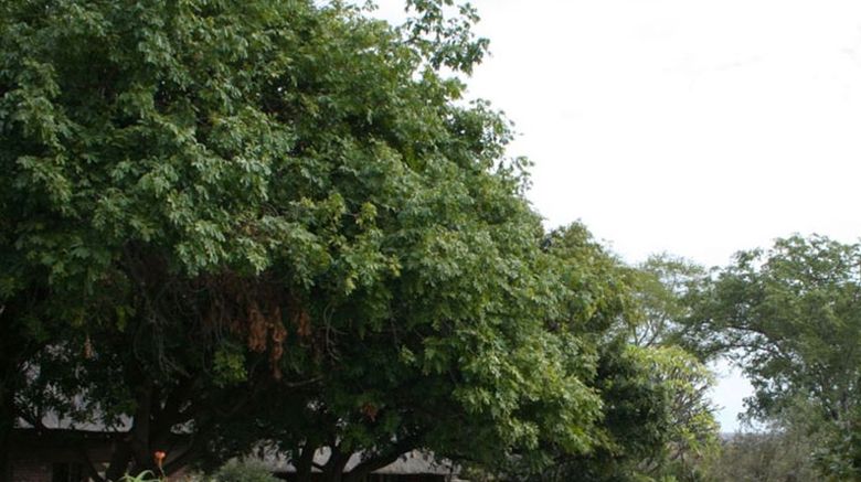 <b>Mohlabetsi Safari Lodge Pool</b>