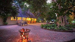 Island Safari Lodge