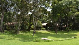 Mara River Camp