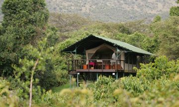 Sekenani Camp