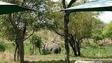 Tanda Tula Pool