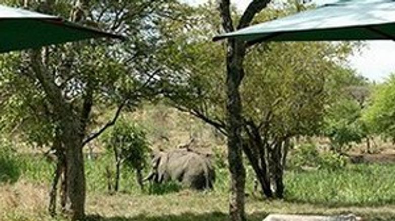 <b>Tanda Tula Pool</b>