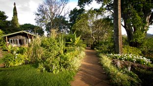 Gibb's Farm