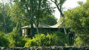 Mombo Camp