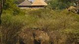 Tarangire Safari Lodge Exterior