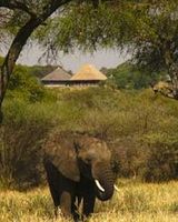 Tarangire Safari Lodge