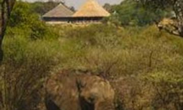 Tarangire Safari Lodge