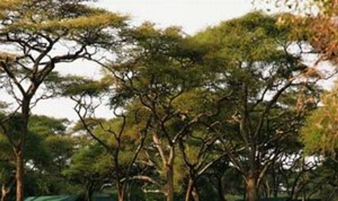 Swala Camp Exterior