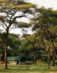 Swala Camp