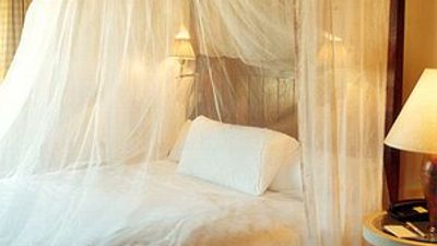 Carmelo Resort & Spa