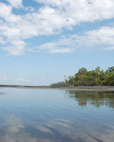 Tiskita Jungle Lodge
