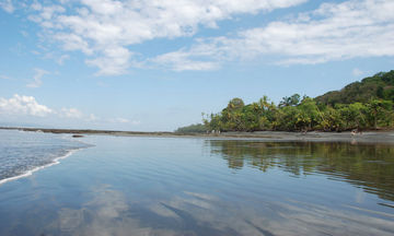 Tiskita Jungle Lodge