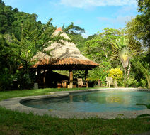 Tiskita Jungle Lodge Pool