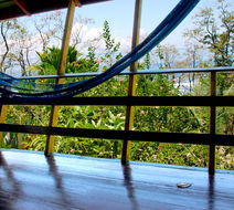 Tiskita Jungle Lodge Suite