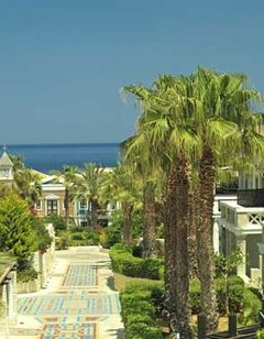 Aldemar Royal Mare