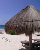Acamaya Reef Cabanas & Beach Club
