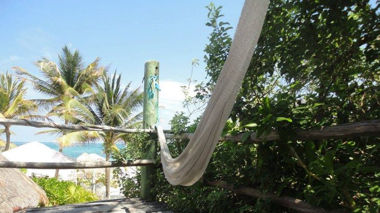 <b>Acamaya Reef Cabanas & Beach Club Room</b>