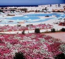 Pharaoh Beach Hurghada Pool