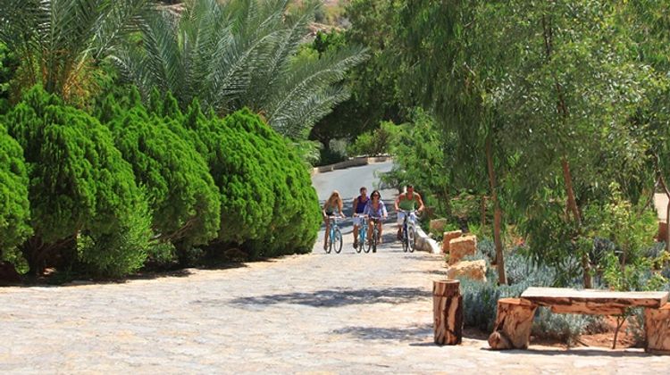 Ma'In Hot Springs Resort & Spa Meeting