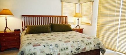 Torian Plum Plaza Condos Suite