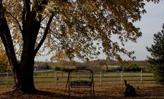 First Farm Inn