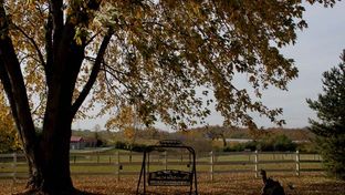 First Farm Inn